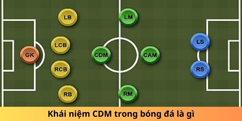 Ý nghĩa thật sự của CDM trong bóng đá là gì